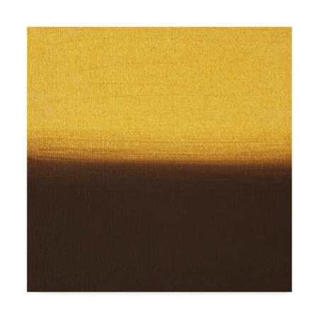 Hilary Winfield 'Sunsets Yellow Brown' Canvas Art,14x14